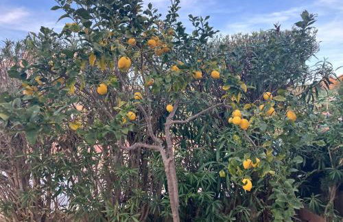 Casa Leon Cabo de Palos - Foto 25