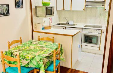 El refugio de la ardilla, apartamento Canfranc-estacion - Foto 14