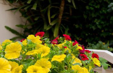 Apartment Michelle - Foto 40