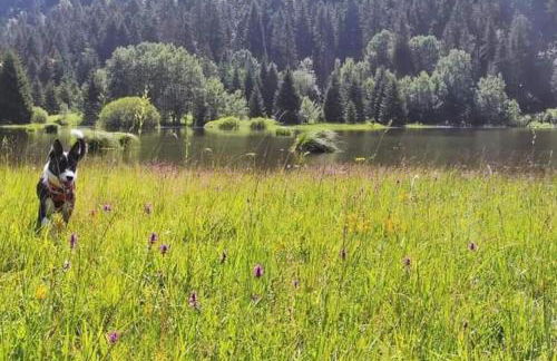 Studio avec belle vue proche du lac Genin Echallon - Photo 24