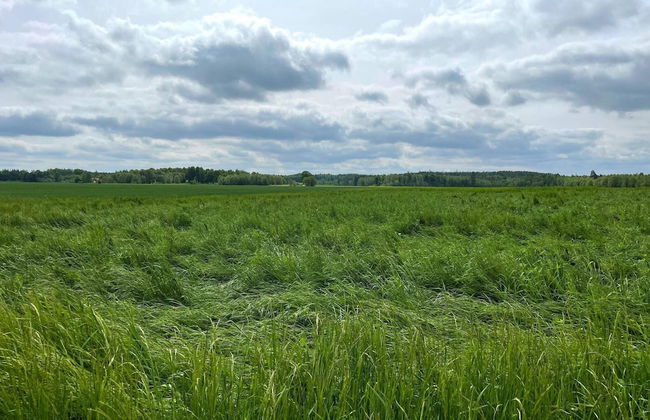 6 Person Holiday Home in Gotene-by Traum - Photo 24