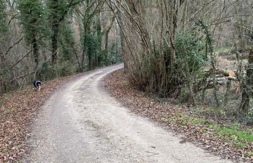 Le gîte de Delphine - Photo 10