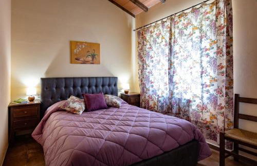 Agriturismo Poggio Degli Olivi - Guest House - Foto 50