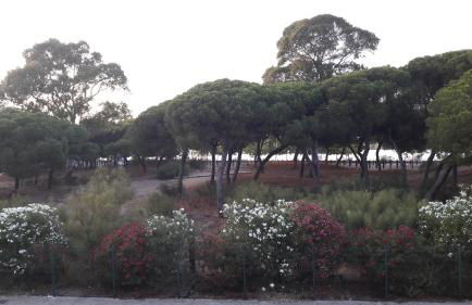 FUNDADORES, Isla Cristina - Foto 9