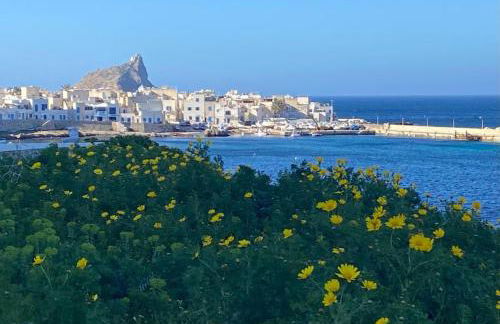 Rosa Dei Venti Marettimo - Foto 46