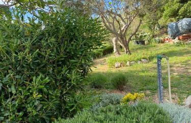 Apartmani Požega - Photo 20