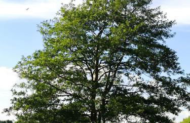 The Lakehouse Onsite Free Pools & Spa - Foto 26