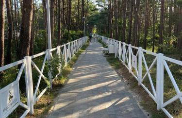 Apartament Gardenia Sun - Foto 15