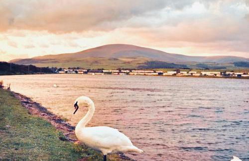 Combe-n-Sea - Foto 18