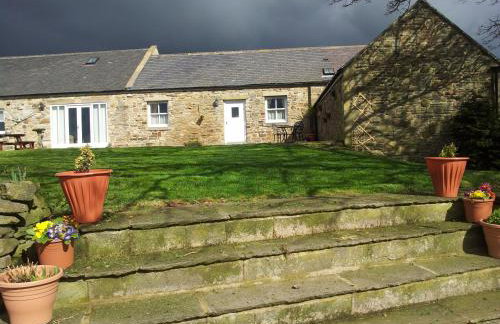 Hamsteels Hall Cottages - Foto 62