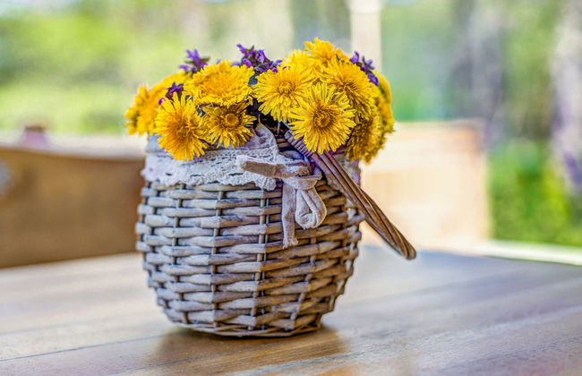 Plitvice II - Foto 8