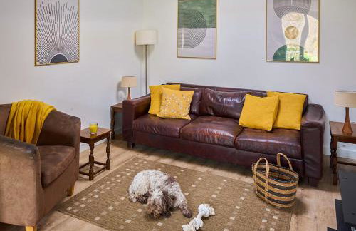 Bueno - Ukc4682 - Foto 7