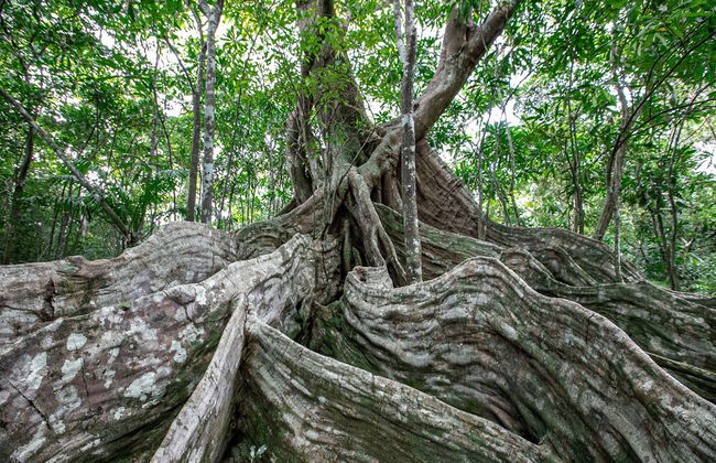 Villa Noelia - Photo 75