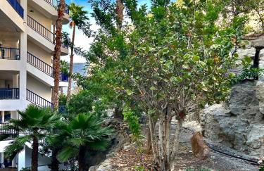 apartmant Adrian Vista Taurito - Photo 24