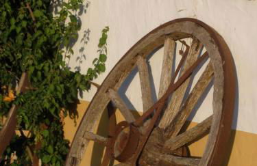 El Rancho - Photo 77