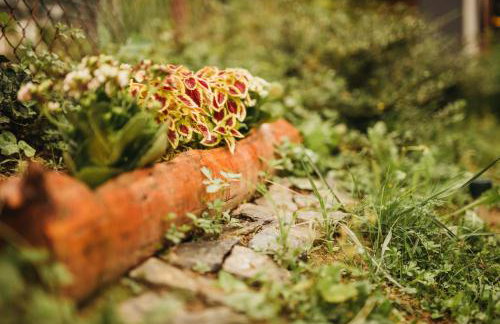 Crab's Creek Zagreb - Foto 61