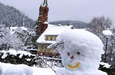 Ferienwohnung, Sauna & Gästekarte gratis im Schwarzwald - Photo 34