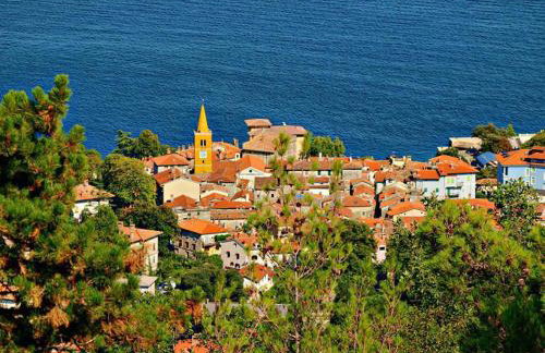 Apartman Halugica - Photo 13