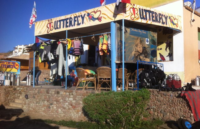 Shark Bay Oasis - Foto 35