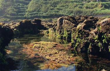 Esperança House 2 - Photo 23