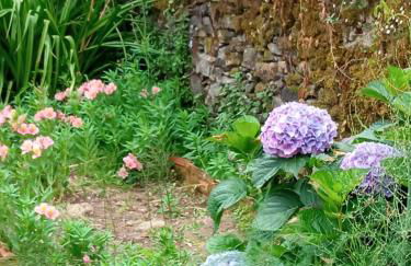 CASA DOS GRILOS - Foto 23