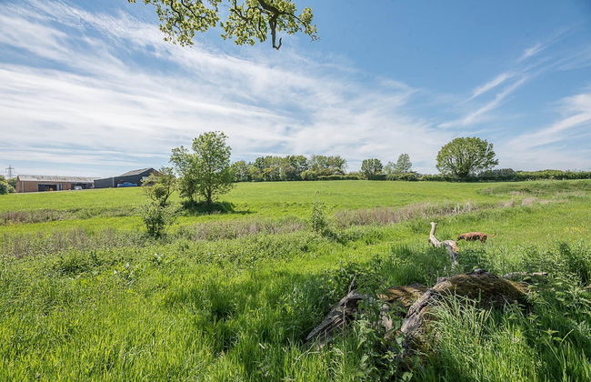Chapel Cottage, Pond Hall Farm, Hadleigh - Foto 26