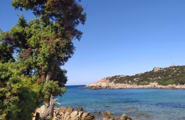 Fisky House - Foto 31