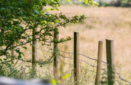 Ty Gan y Mor - Foto 36