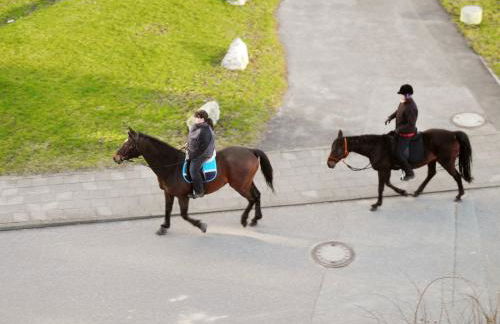 Apartment Leuchtturm 16 - Foto 32