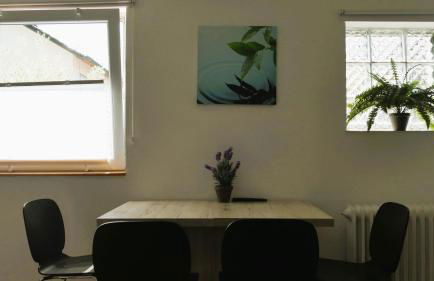 Kleiner Elefant - Foto 10