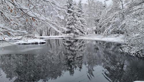 Insolite Chalet de pêche Sérénité - Bien Etre - Foto 3