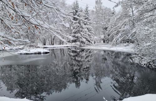 Insolite Chalet de pêche Sérénité - Bien Etre - Foto 3