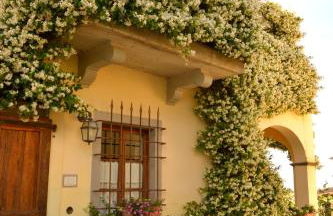 Borgo dei Cadolingi - Foto 42