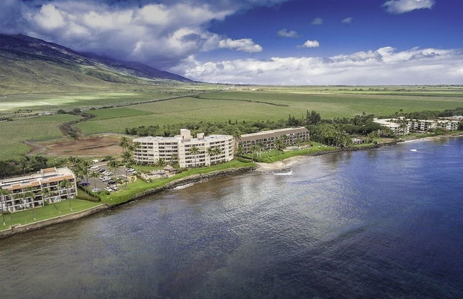 Maalaea Banyans 217 1 Bedroom Condo - Foto 36