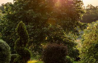 Wellnessparadies mit Sauna und Whirlpool - Foto 61