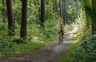 Słoneczna Przystań - Foto 69