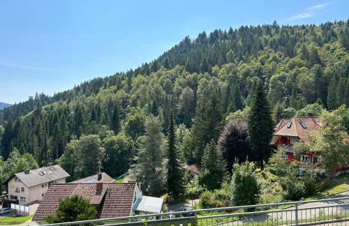 Ferienwohnung Panoramablick - super für deine Familie und die besten Aussicht in ganz Todtmoos - Foto 37