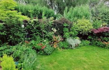 Willowbank - Photo 22