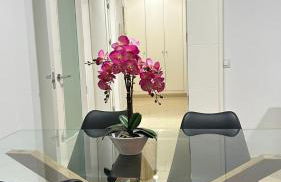 Moderno y céntrico Apartamento de 2 dormitorios en El Puerto de Santa Maria - Foto 2