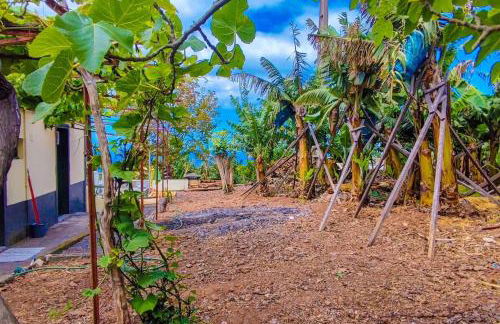 Typical Farm Apartment - Foto 24