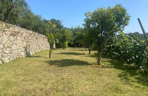 Quinta do Vale Vaqueiro - Foto 8