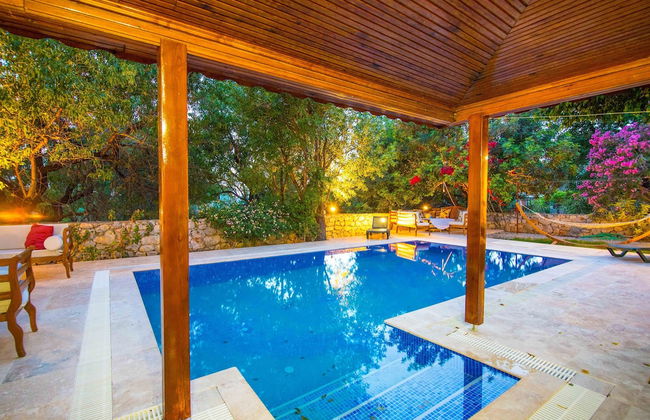 Damla Villa Soğut Village Daily Weekly Rentals - Photo 9