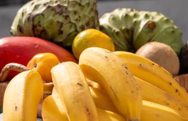 Isabela House - Foto 6