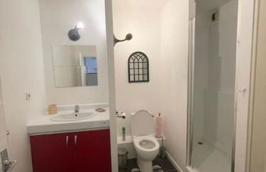 Toulouse Grand T2 Pont des Demoiselles - Foto 14