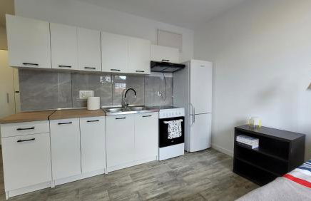 Apartamenty Parkowe nr 6 - Foto 10