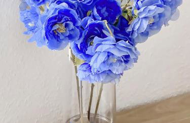 Das Sommerhaus - im Land der tausend Seen - Foto 14