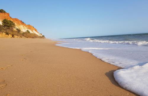 Excellent T2 apartment with pools 400m Falesia beach - Foto 48