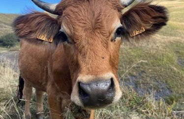 Chalet Alexandre - Photo 36