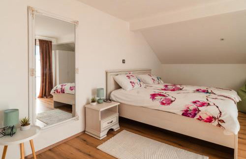 Villa Sole-kuća za odmor u Međimurju-Dragoslavec - Foto 10