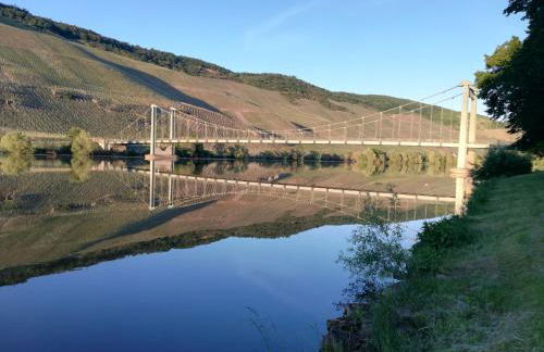 Sonnenufer Apartment & Moselwein I - Foto 3